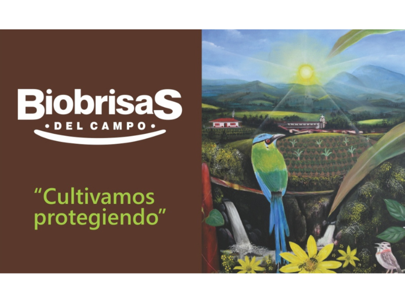 Café Premium Biobrisas del Campo