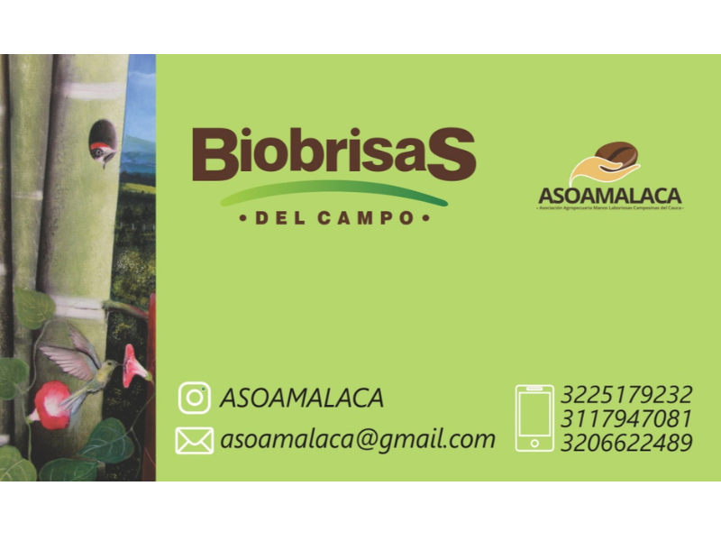 Café Premium Biobrisas del Campo